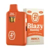 Blazy Sunday | 1000mg THCP Pod